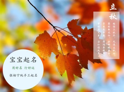 姓王的名字|王姓男孩起名100分大气 优选288个